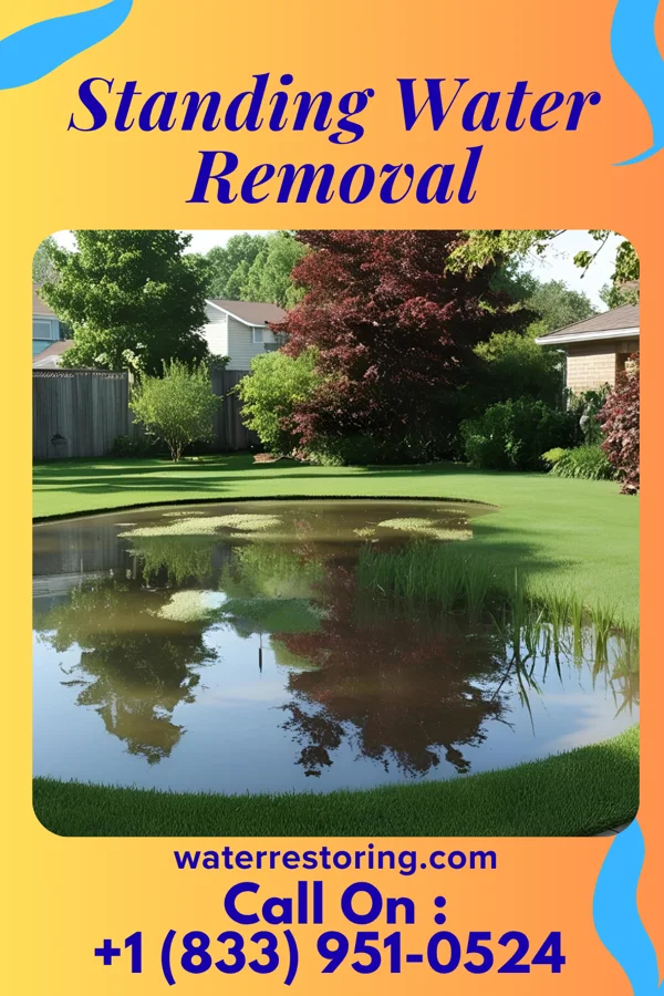 Standing Water Removal in Cedar Point, IL